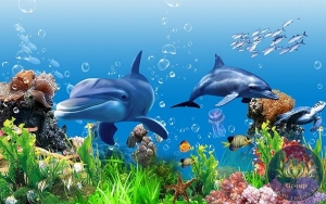 Tranh 3D đại dương kiêu kỳ