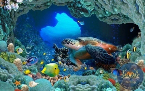 Tranh đại dương rùa biển đẹp