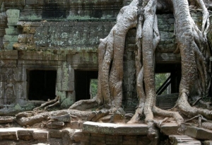 Tranh 3D Phong Cảnh - Văn Hóa - Tôn Giáo Cambodia