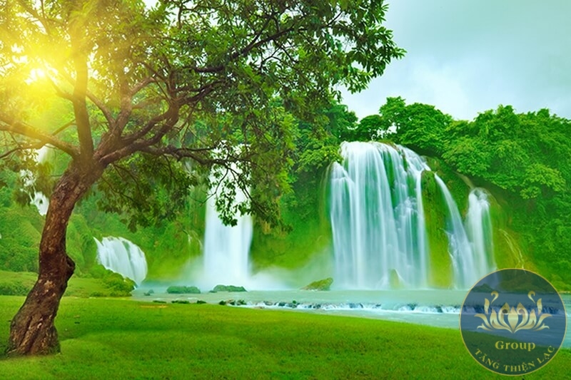 Tranh cây cổ thụ bên thác nước đẹp giúp nhà mát mẻ | Tranh 3D-5D-8D Tăng  Thiện Lạc