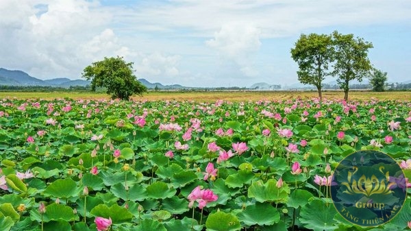 Top mẫu tranh hồ sen dưới bầu trời xanh thủy mặc mang phong thủy tốt vào nhà